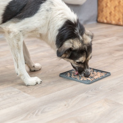 TAPETE "LICK'N'SNACK" EM SILICONE