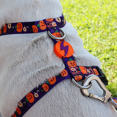 BACK HARNESS PUMPKIN