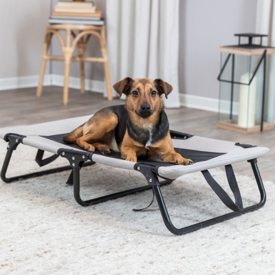 CAMA ELEVADA PARA CÃO