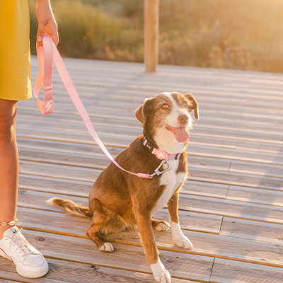 Trela SOLID BABY PINK