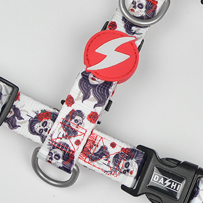 BACK HARNESS CALAVERA