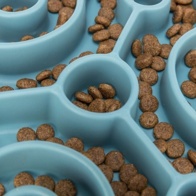 Comedouro lento azul claro com ração castanha em compartimentos circulares