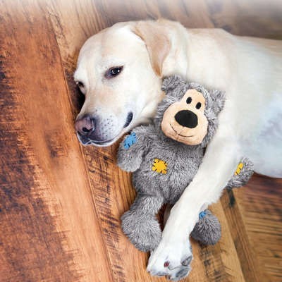 Kong Wildknots Bear Cinza