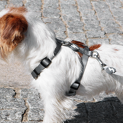 BACK HARNESS SOLID GREY