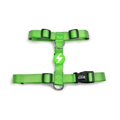 BACK HARNESS SOLID GREEN