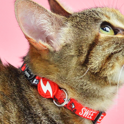 COLEIRA GATO SWEE´PEA