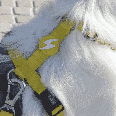 BACK HARNESS SOLID YELLOW