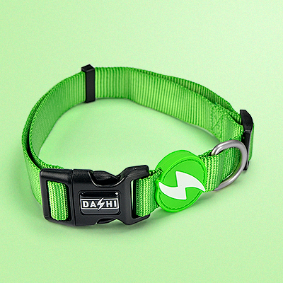 Coleira SOLID GREEN