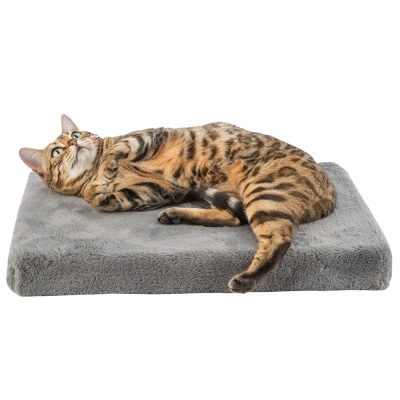 Gato tigrado deitado sobre almofada cinza felpuda retangular