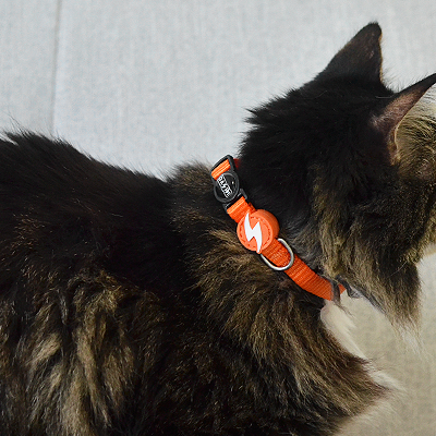 COLEIRA GATO SOLID ORANGE