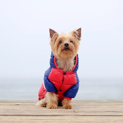 ANORAK STRIPES³ RED & BLUE