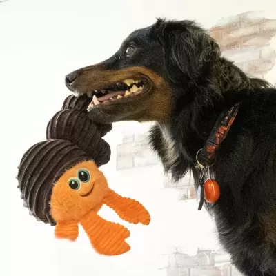 KONG Cuteseas Rufflez Hermit Crab