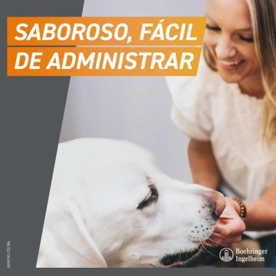 FRONTPRO Comprimido mastigável contra pulgas e carraças para cães de 2 a 4kg FRONTPRO Comprimido mastigável contra pulgas e carraças para cães de 2 a 4kg
