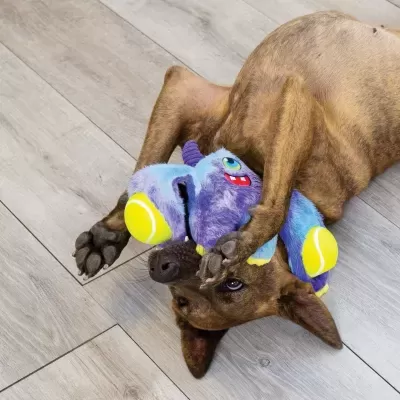 KONG Woozles Monster Assorted MD