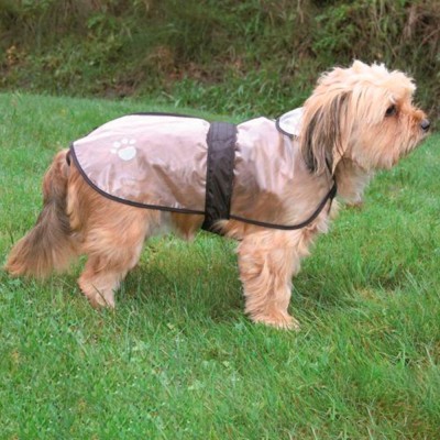 Cão pequeno com casaco impermeável cinza e preto numa relva verde