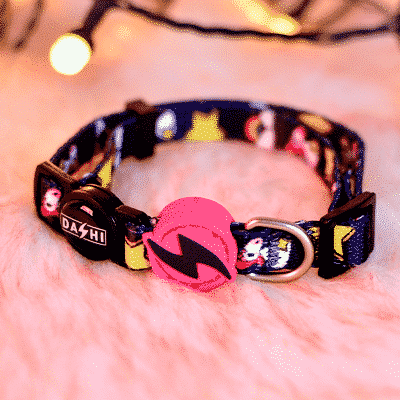 COLEIRA GATO UNICORN