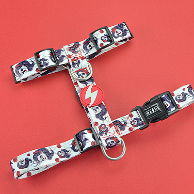 BACK HARNESS CALAVERA