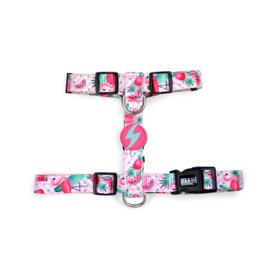 BACK HARNESS FLAMINGO