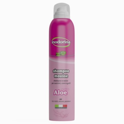 Champô seco Inodorina Aloe 300ml