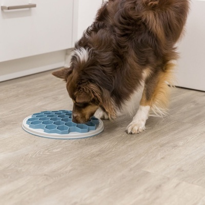 Dispenser para alimentos caninos azul e branco no chão com cão a comer
