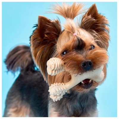 BETTERBONE - MACIO (CLASSIC)