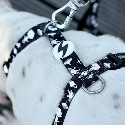 BACK HARNESS ASTRONAUT