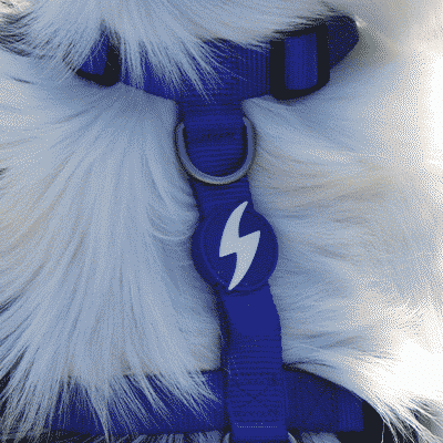 BACK HARNESS SOLID BLUE