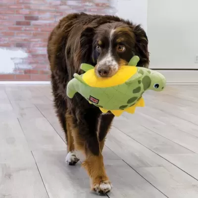 KONG Dynos Roars Green