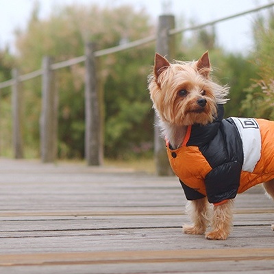 ANORAK STRIPES³ ORANGE & BLACK