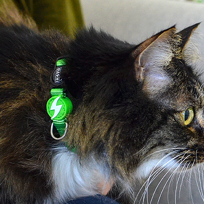 COLEIRA GATO SOLID GREEN