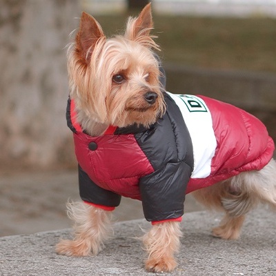 ANORAK STRIPES³ PURPLE & BLACK