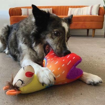 KONG Lhamas Ballistic Vibez