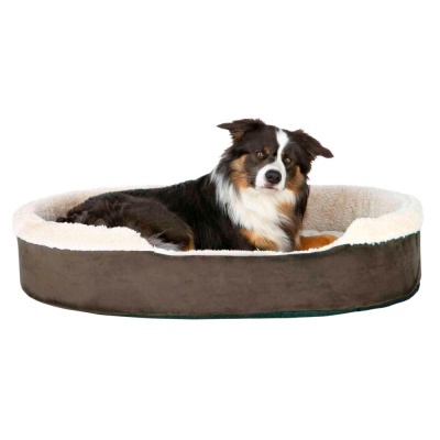 Cama oval castanha com interior branco e cão deitado