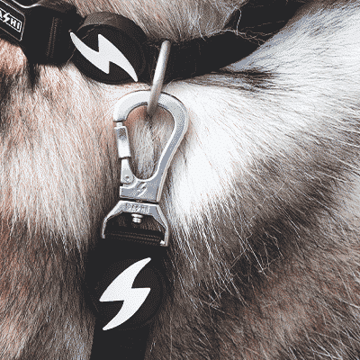 Gola preta de nylon com fechadura metálica e pingente preto com símbolo de relâmpago branca