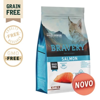 BRAVERY CAT KITTEN SALMAO