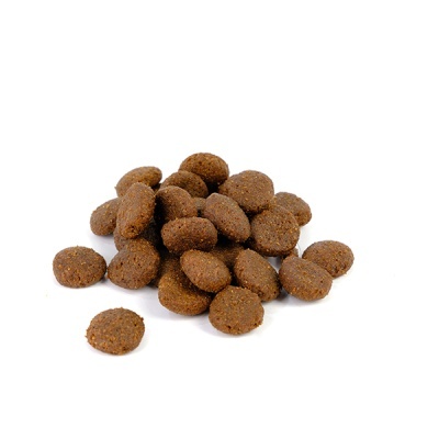 Natura Diet Daily Food Maxi