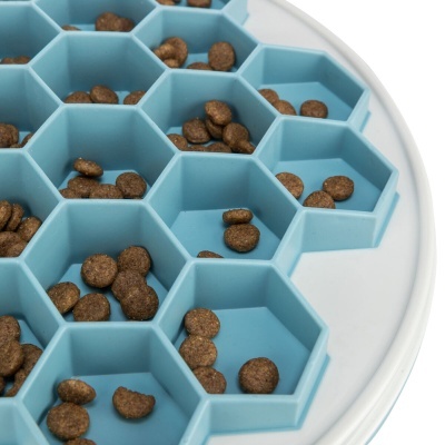 Prato lento para cães com várias divisórias hexagonais em plástico azul claro com croquetes de ração castanha.
