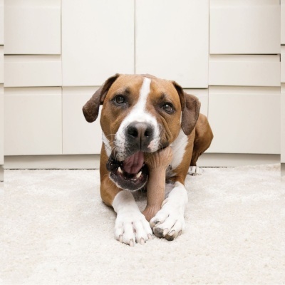 KONG CHEWSTIX ULTRA OSSO