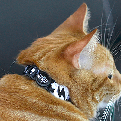 COLEIRA GATO ASTRONAUT