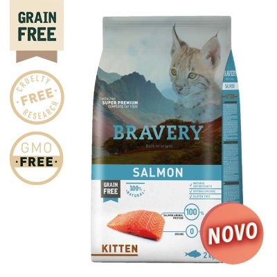 BRAVERY CAT KITTEN SALMAO
