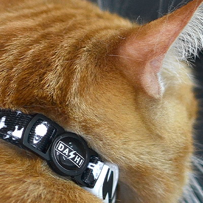 COLEIRA GATO ASTRONAUT