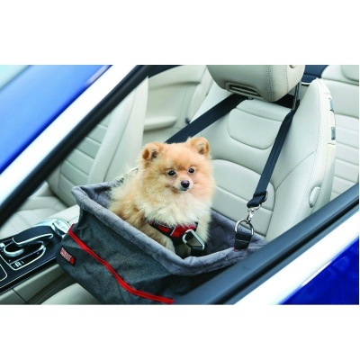 KONG TRAVEL | BANCO ELEVATÓRIO