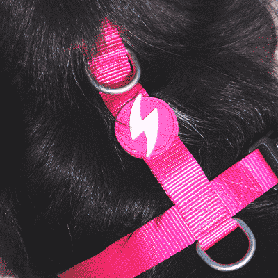 BACK HARNESS SOLID PINK