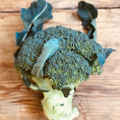 Couve Brócolo Verde (kg)