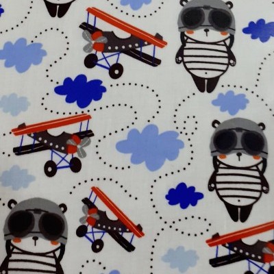 Plastificado com Avionetas