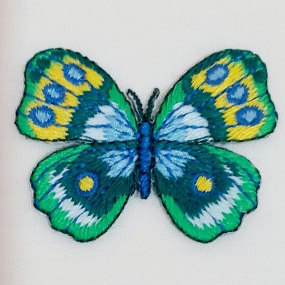 Borboleta Verde e Amarela