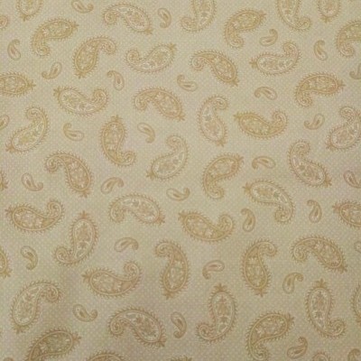 Cornucópias grandes em fundo creme