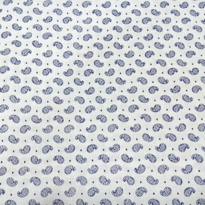 Cornucópias Azuis em Fundo Branco