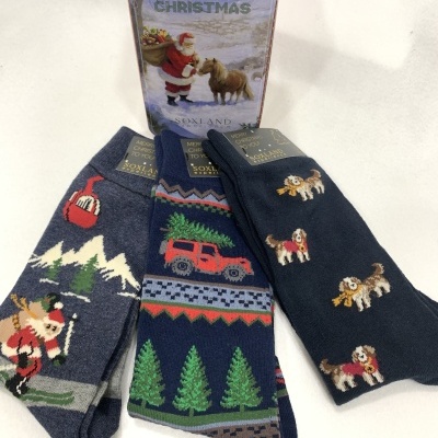 Lata Musical com peúgos Nº1