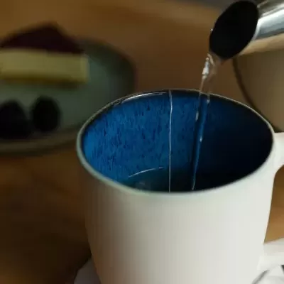 Caneca CORAL - 500ml - Conjunto de 2